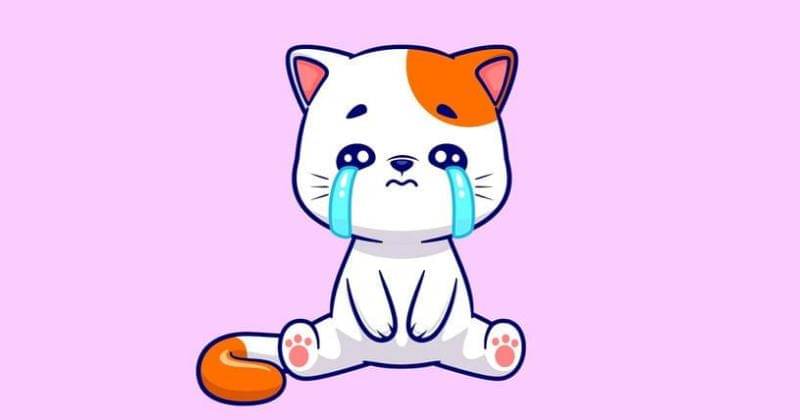 Freepik/catalyststuff