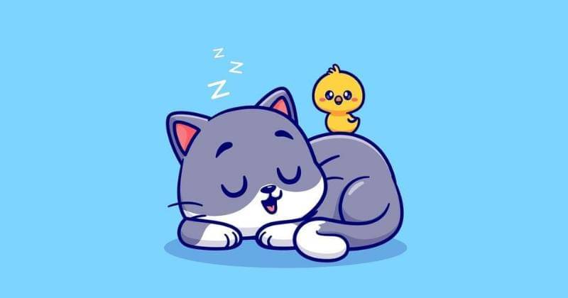 Freepik/catalyststuff