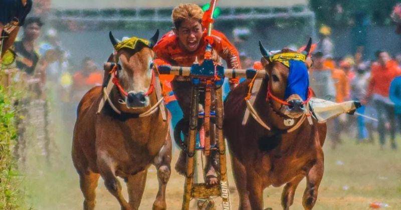 Instagram.com/exploremadura