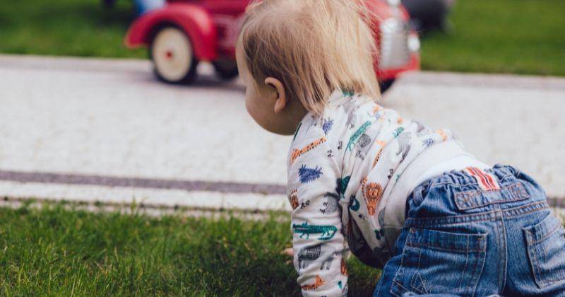 Pexels.com/freestocks.org