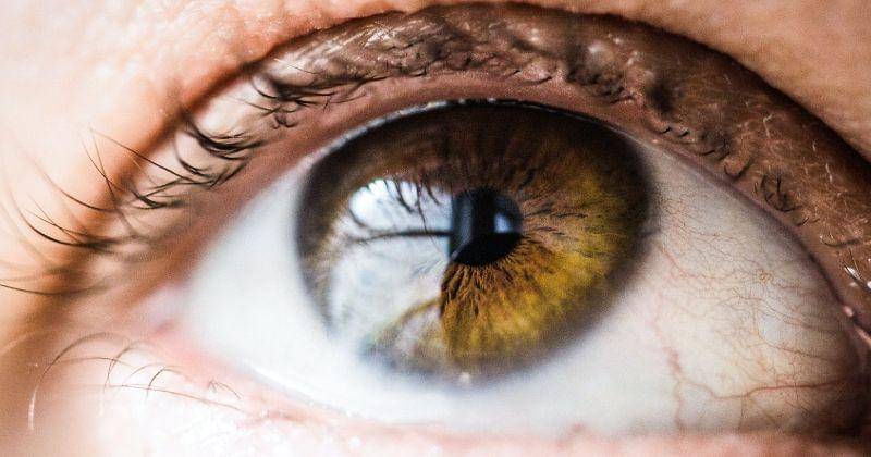 Unsplash/vansbumbeers