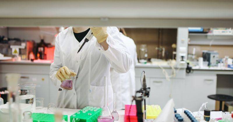 Pexels/Polina Tankilevitch