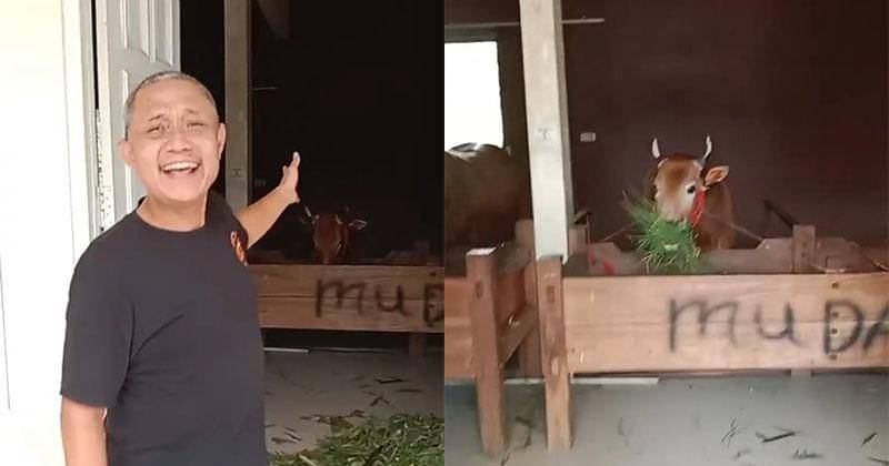 TikTok.com/leonardyoriko