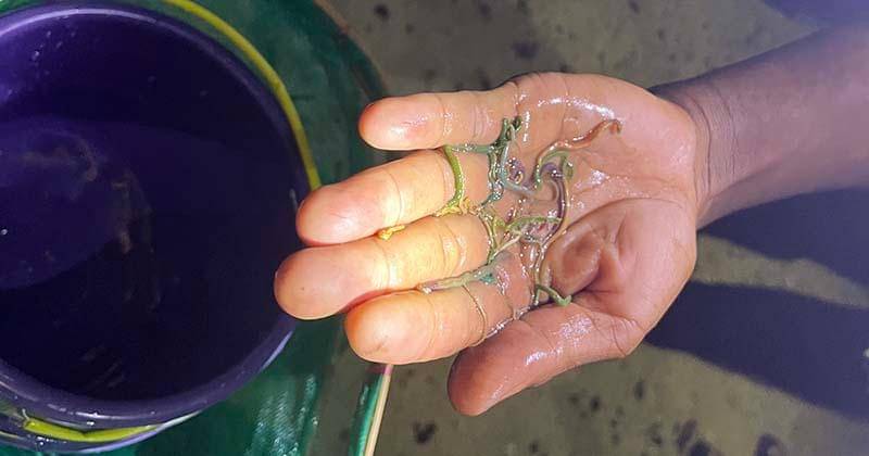 Popmama.com/ Sandra Ratnasari