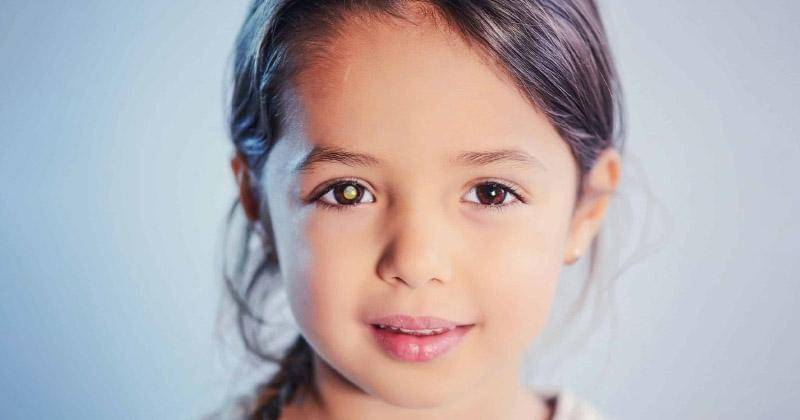 narayananethralaya.org