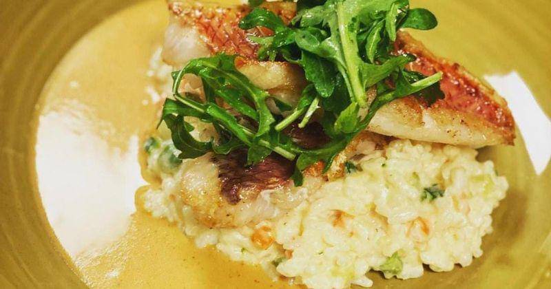 Instagram.com/puurslof_puurs