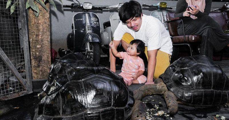 Instagram.com/ameenaatta