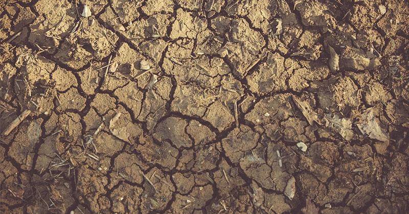 Pexels.com/James Frid