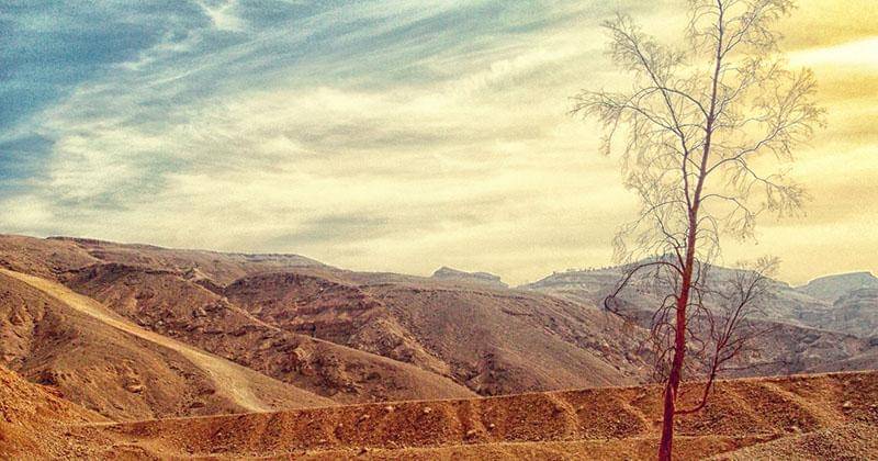 Pexels.com/Mohamed Elshawry