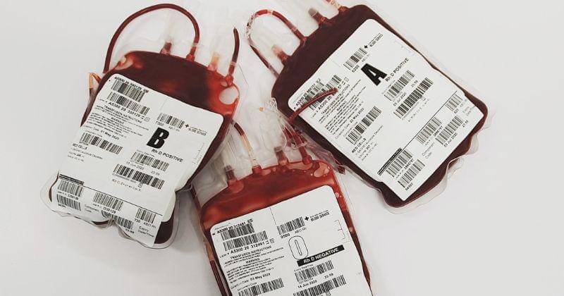 Pexels/Charlie-Helen Robinson