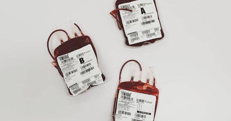 Pexels/Charlie-Helen Robinson