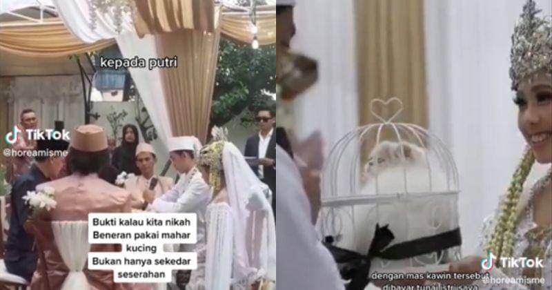 Tiktok.com/@horeamisme