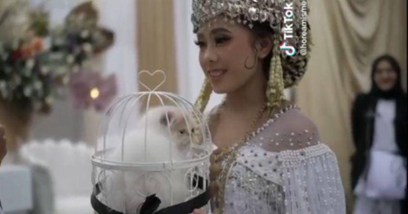 Tiktok.com/@horeamisme