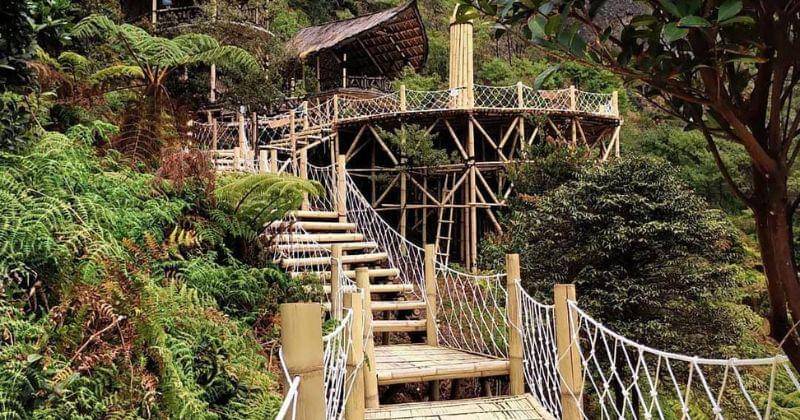 Instagram.com/clarissagoenawan