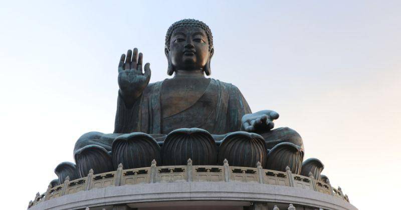 pexels/ISRAEL FERNANDEZ