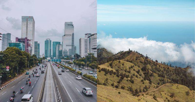 Pexels/Alifia Harina/ROMAN ODINTSOV