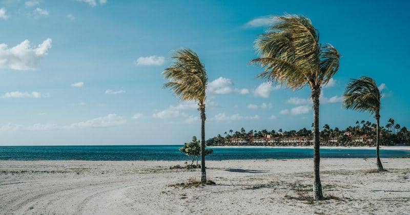 Pantai terbaik - Eagle Beach Aruba - Unsplash/David Troeger