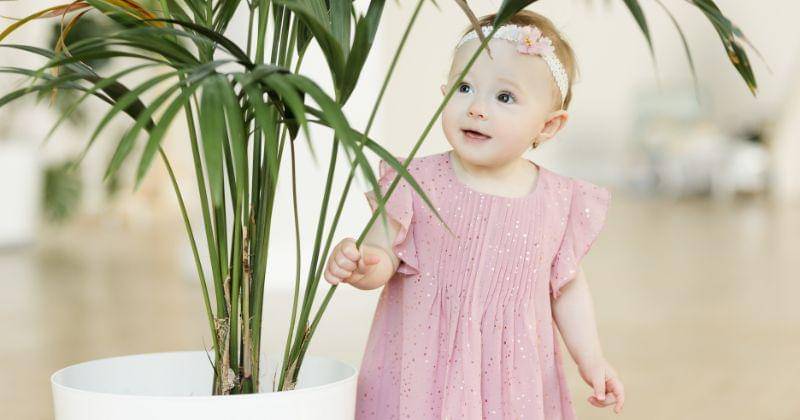 Pexels/Anastasiya Gepp