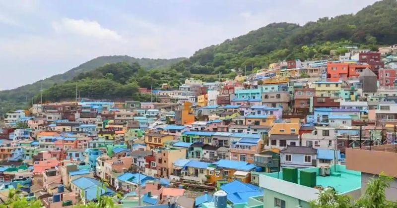 thewanderingquinn.com