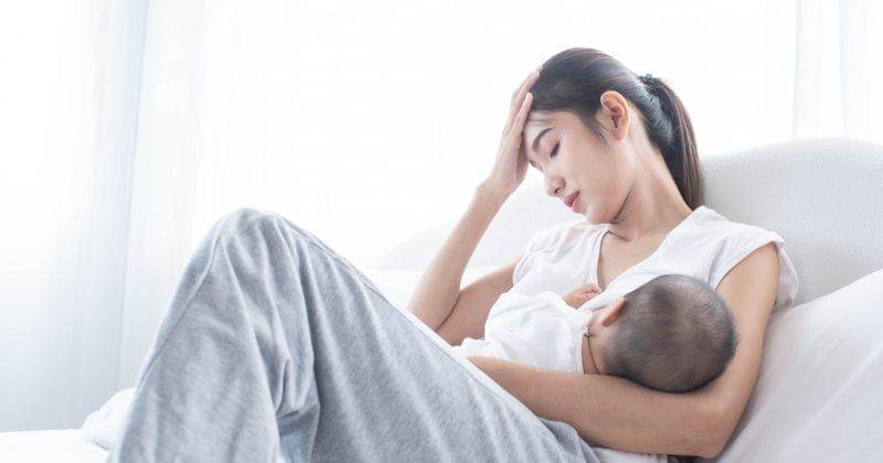 Shutterstock/narikan