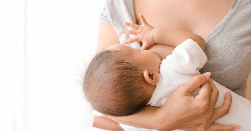 Shutterstock/Lifebrary