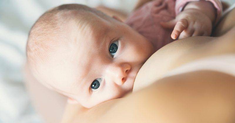 Shutterstock/Natalia Deriabina