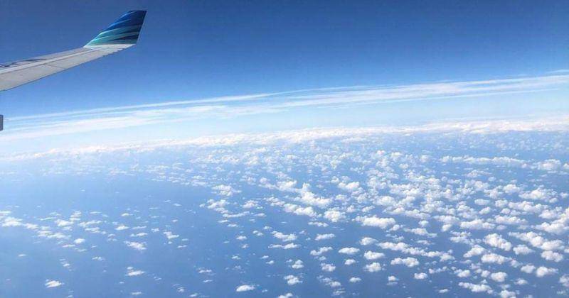 Instagram.com/tineuineu