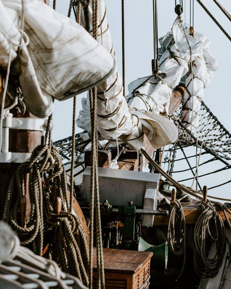 Unsplash/Annie Spratt