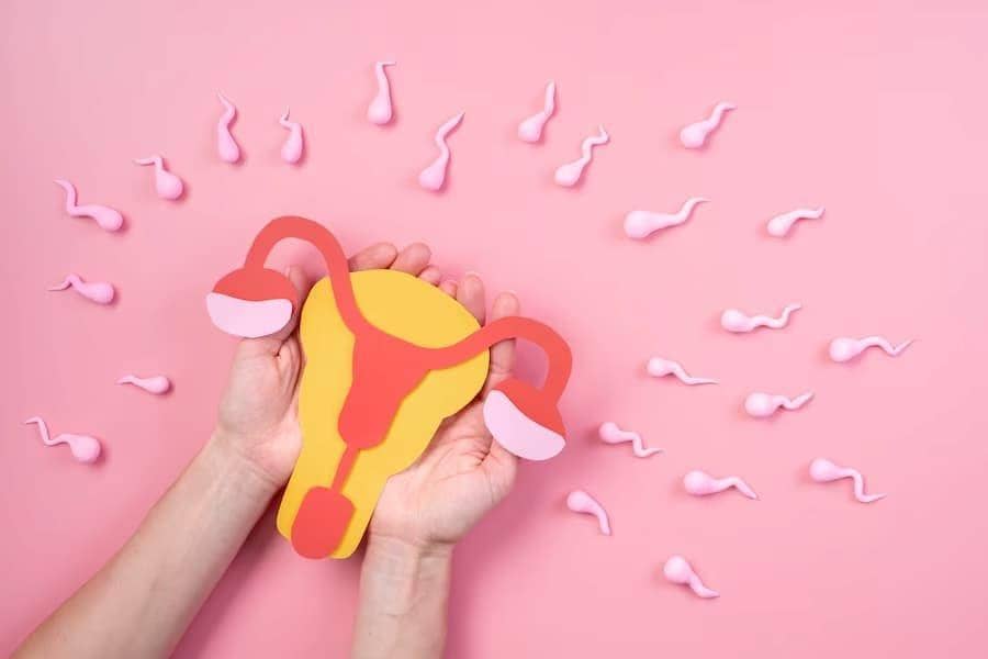 ilustrasi reproduksi perempuan