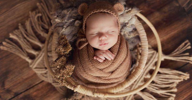 Pexels/Florentina Gurrieri