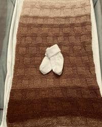 Instagram.com/@teddysphotos