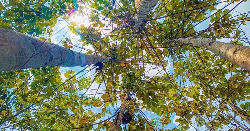 Instagram.com/dudih_purwadi