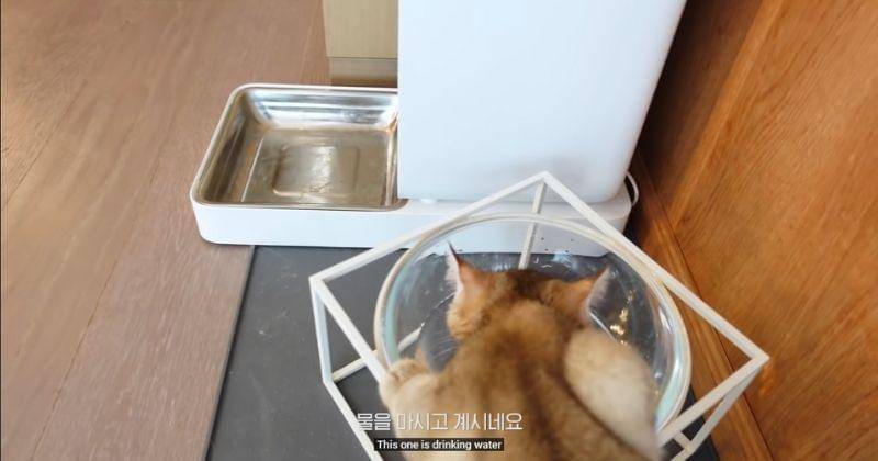 Youtube.com/ Lilifilm Official