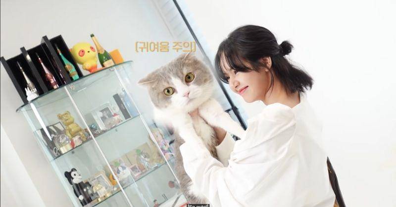 Youtube.com/ Lilifilm Official