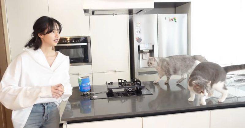 Youtube.com/ Lilifilm Official