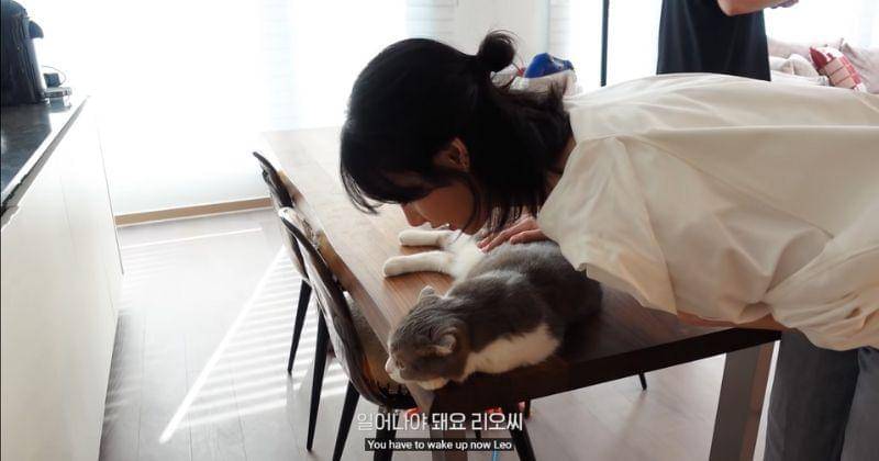 Youtube.com/ Lilifilm Official