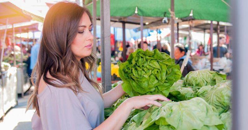 Freepik/Dragana_Gordic