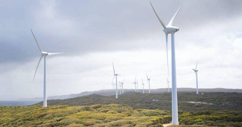 Pexels/Harry Cunningham