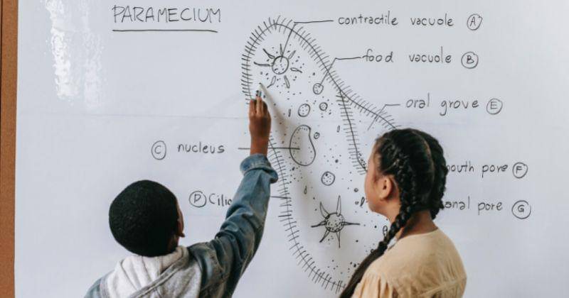 Pexels/Katerina Holmes