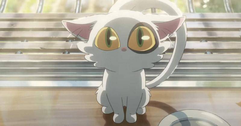 concreteplayground.com