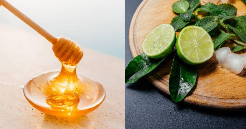 Freepik/freepic.diller/pexels/roman-odintsov