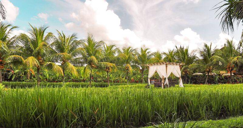 Unsplash/Coleen Rivas