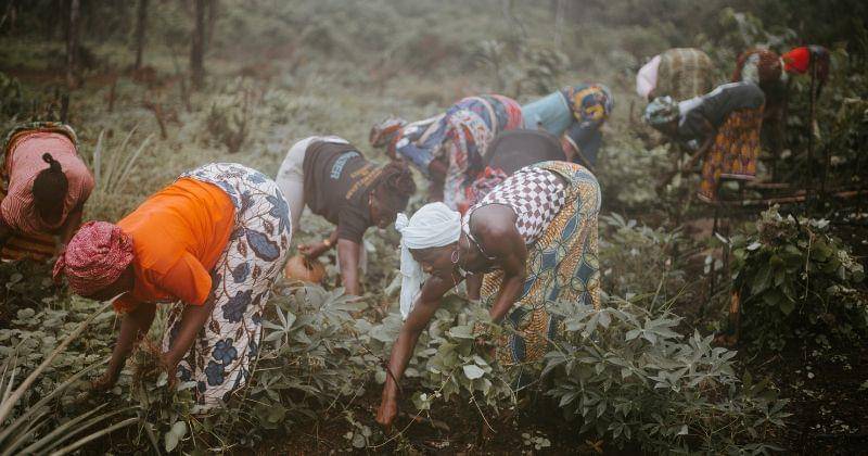 Unsplash/Annie Spratt