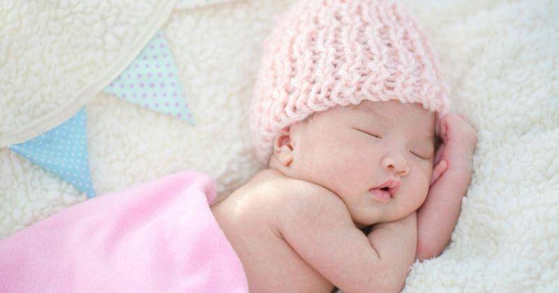 Freepik/studioredcup