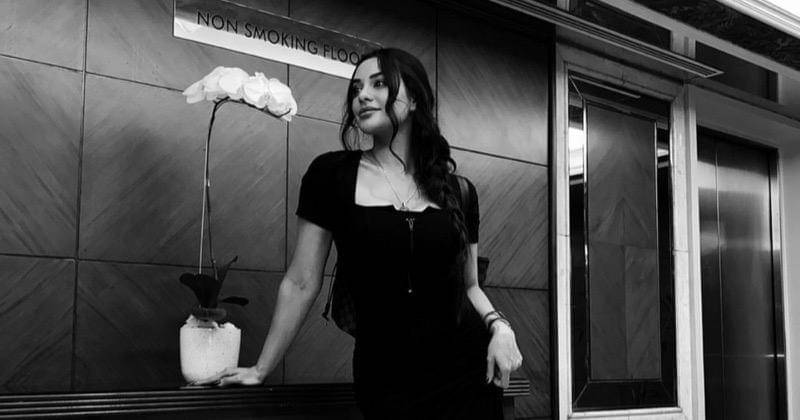 Instagram.com/ncdpapl