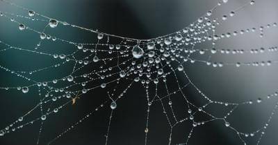 Unsplash.com/nate_dumlao