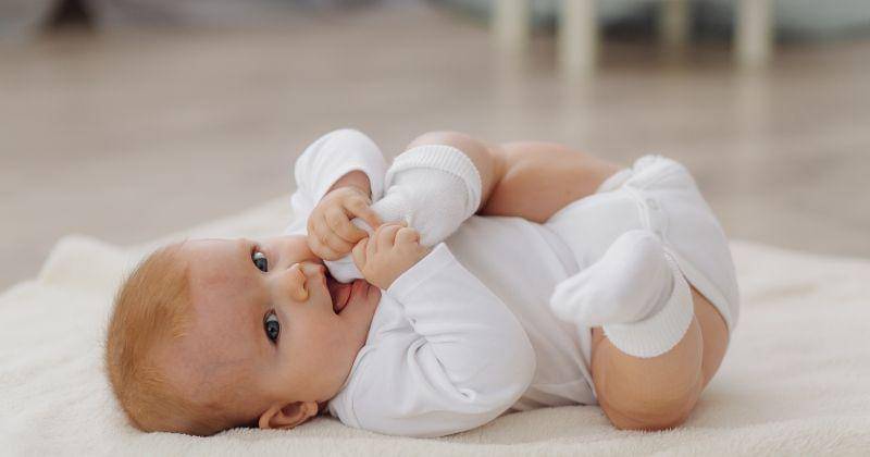 Freepik/Bristekjegor