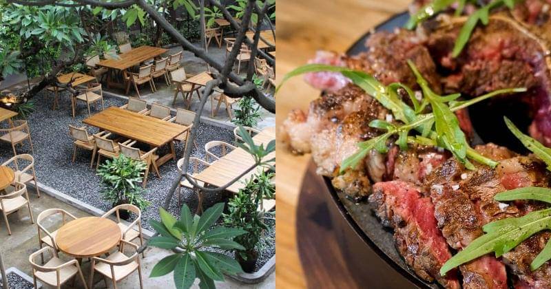 Instagram.com/Daunmudo