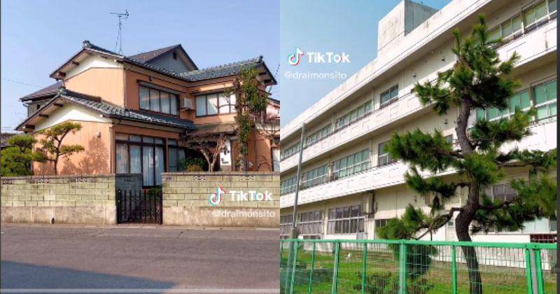 Tiktok.com/@draimonsito