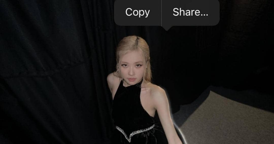 Instagram.com/roses_are_rosie